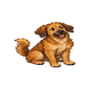 Bristle the Market Dog