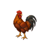 Town Rooster