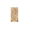 Lens-Reader's Note