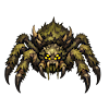 Fen Spider