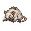 Pale Rat