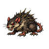 Thorn Rat