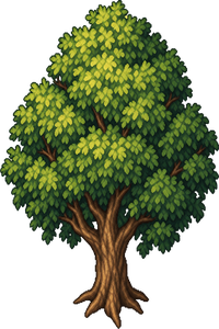 Town Tree // name